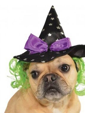 Witch Hat w/Hair Wicked Pet Costume Accessory